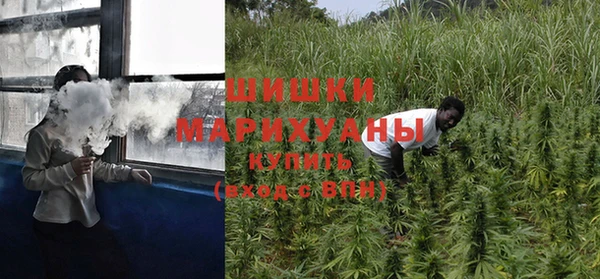 Альфа ПВП Алзамай